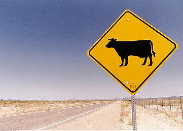 《银翼杀手：增强版》现已发售 Steam国区原价37元